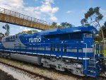 RUMO 9598
